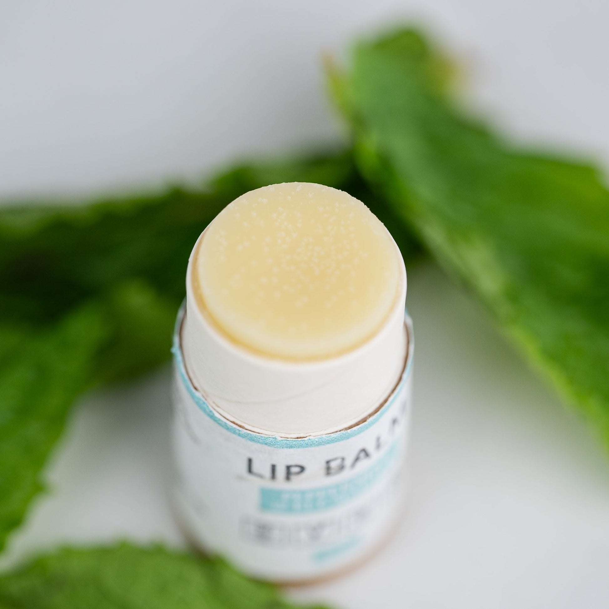 Lip Balm Bundle (5-Pack) image 6