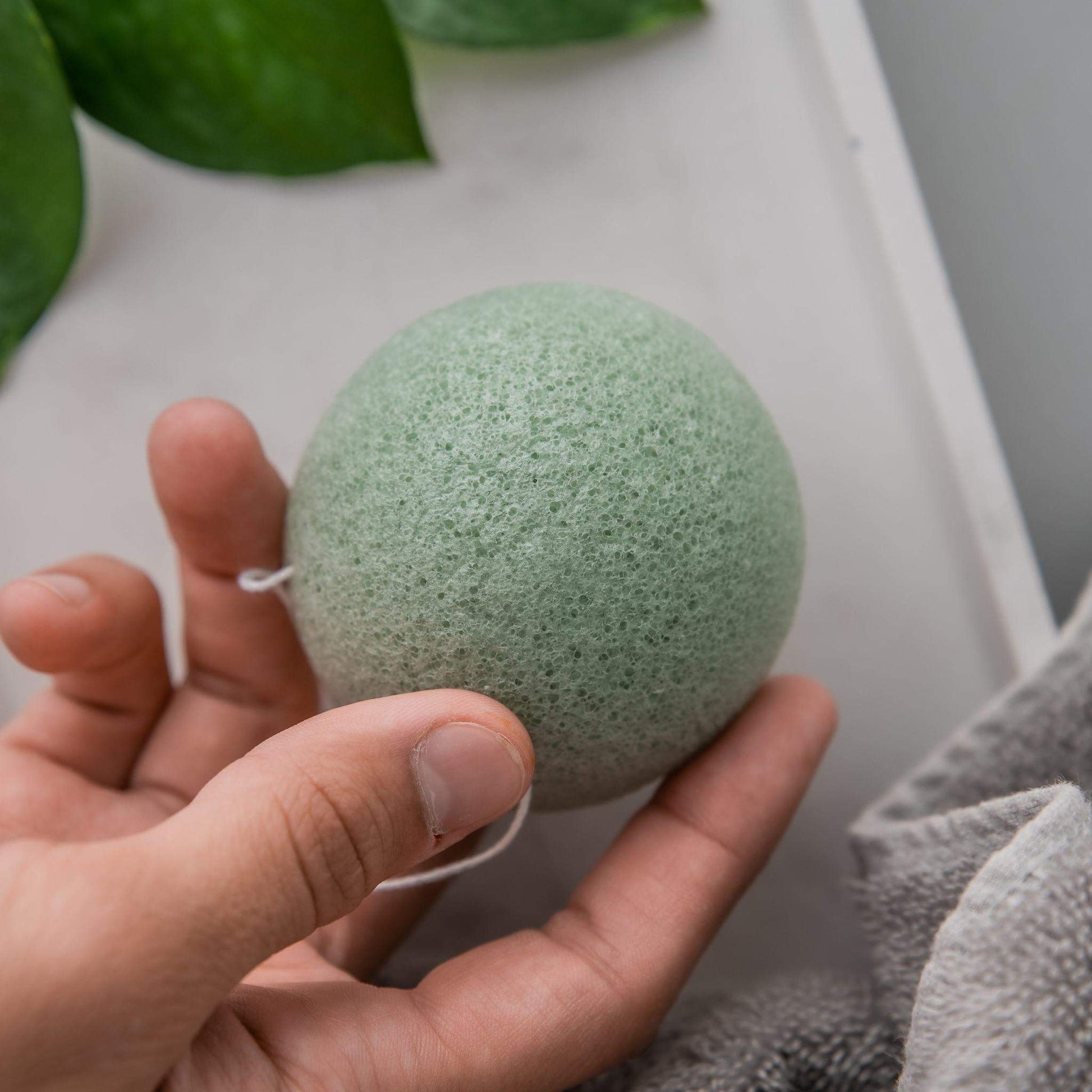 Konjac Sponge Bundle (5-Pack) image 3